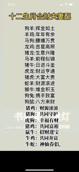 狗和鼠属相合不合_婚姻财运全面解析