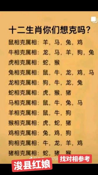 鸡属相和什么相冲相克_鸡和哪些属相不合