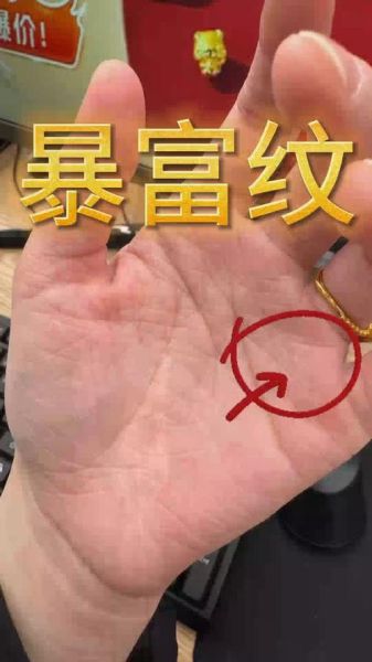 看手相横财运怎么看_横财线是哪一条