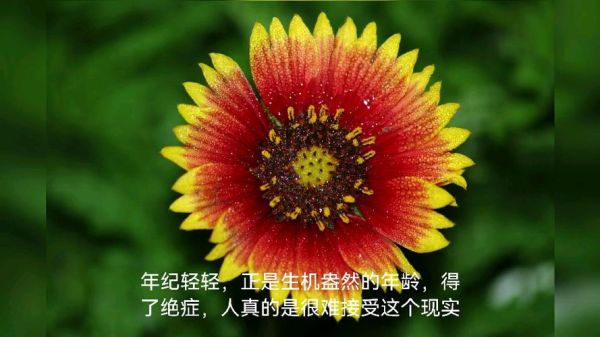 梦到朋友得了绝症_意味着什么