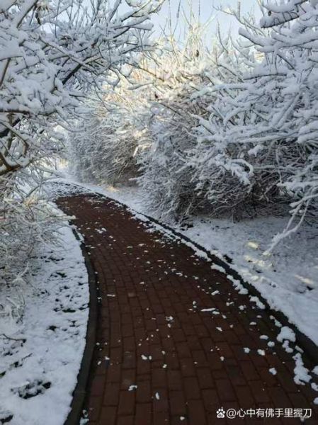 梦到地上有雪是什么意思_梦见下雪地上白茫茫的预兆