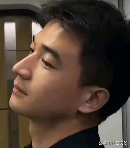 男人鼻子大财运好吗_鼻子塌的男人如何招财