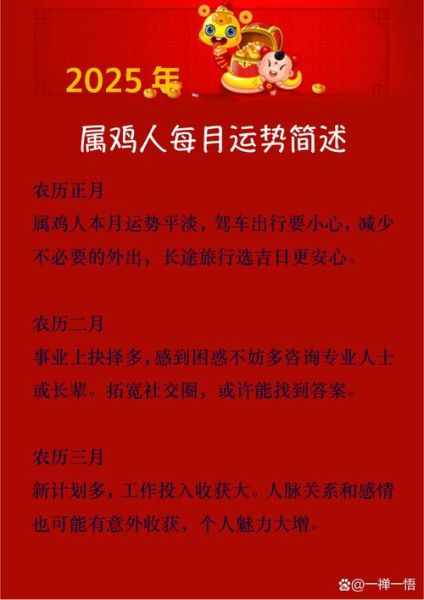 属鸡的人猪年运势如何_属猪年对属鸡的影响