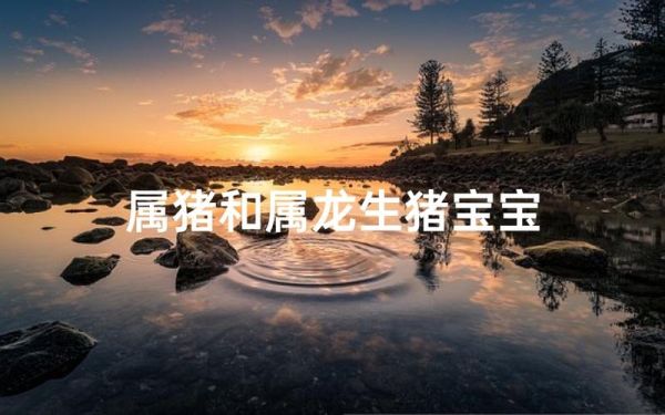 属龙和属猪合财吗_属龙与属猪财运怎么样