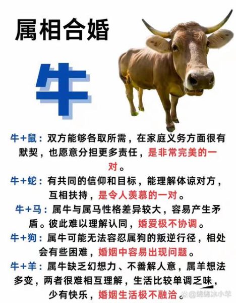 女属牛婚配属相最好_属牛女最佳婚配属相