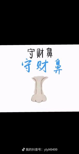鼻翼宽大财运好吗_鼻翼小代表什么财运