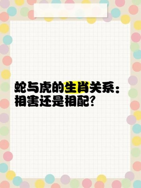 老虎和蛇在一起财运好吗_如何提升