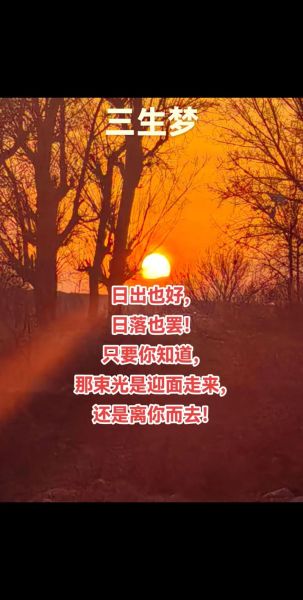 梦到阳光是什么意思_梦见阳光照在身上好不好