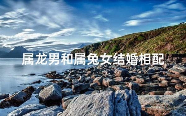 属龙和属兔的婚姻如何_属龙和属兔的合不合