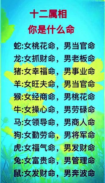 男人问你属相怎么回答_属相背后的含义
