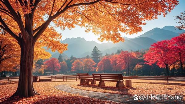 梦到旅途是什么意思_梦见旅行预示什么