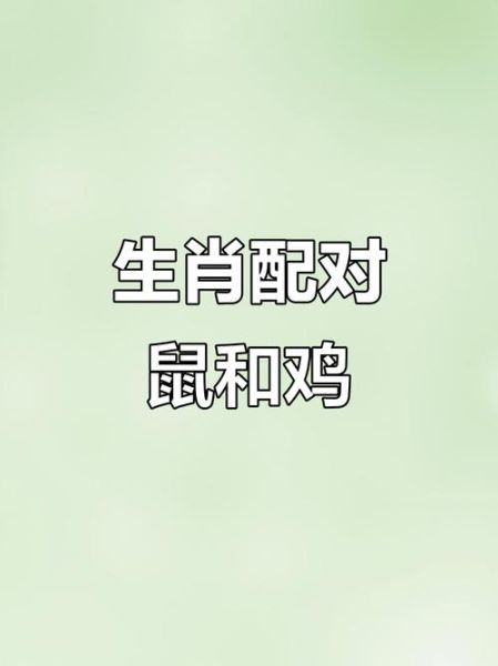 女鼠男鸡婚姻如何_属鼠女和属鸡男婚配好吗