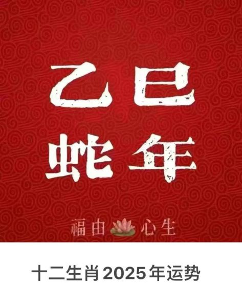 蛇人明日运势如何_蛇人明日运势详解
