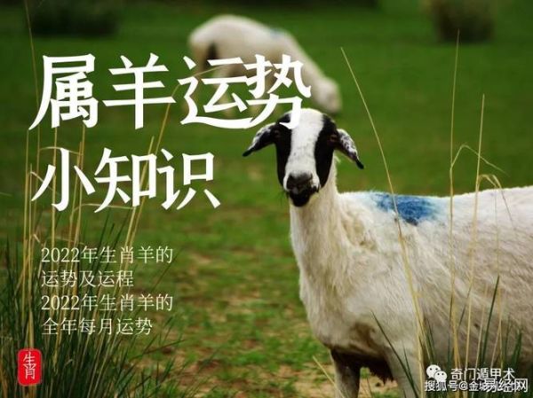 属羊2018年运势如何_2018年属羊人全年运程