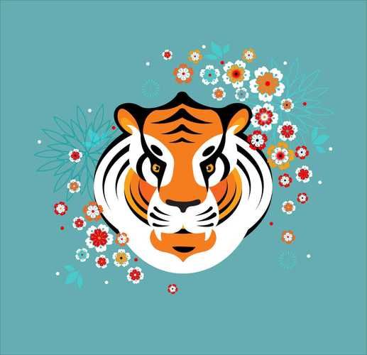 属鸡2017年运势详解_2017年属鸡犯太岁吗