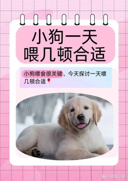 梦到喂小狗吃东西_是什么意思