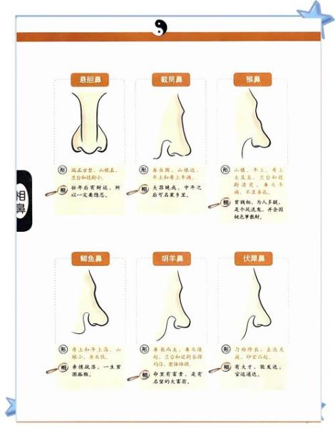 鼻梁高财运好吗_面相学怎么看
