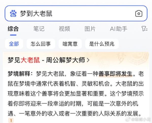 梦到逮老鼠_是什么意思