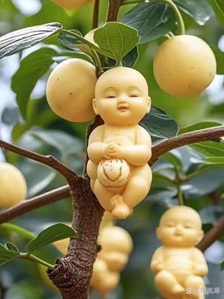 梦到人参果娃娃_人参果娃娃寓意是什么