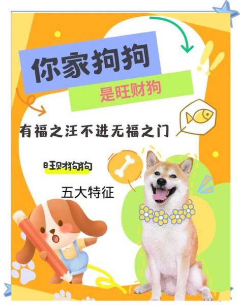 送走小狗财运不好怎么办_送走狗后破财怎么化解