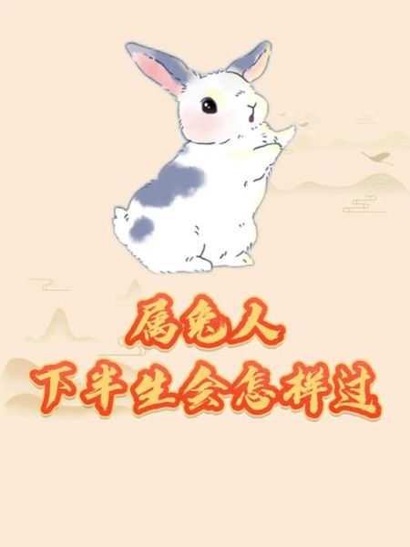 属兔2017年财运方向_如何催旺正偏财