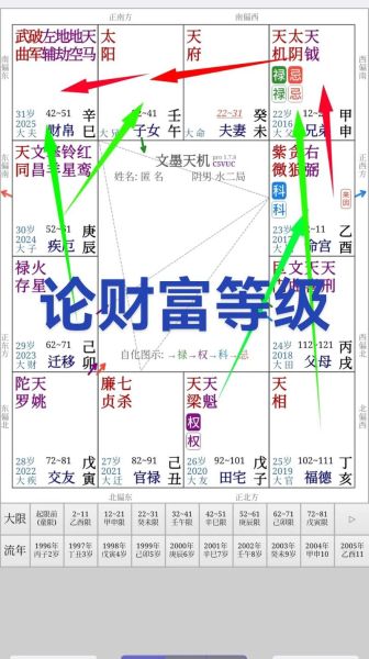 紫薇命盘怎么看财运_哪些宫位决定财富格局