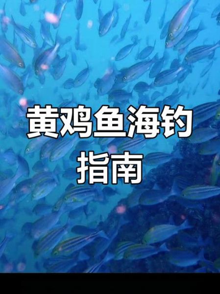 梦到吃鸡鱼是什么意思_周公解梦吃鸡鱼预示什么