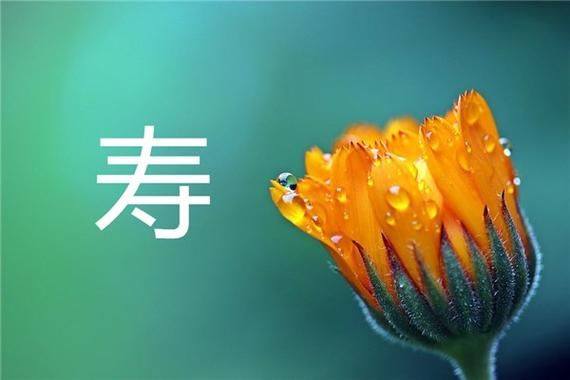 梦到寿字是什么意思_梦到寿字预示什么