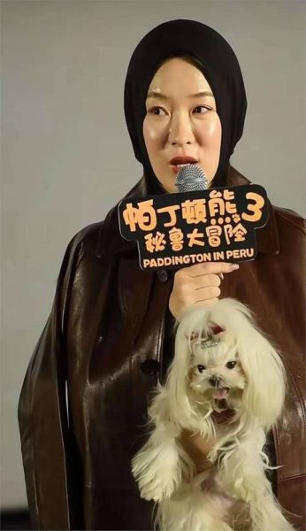 霍思燕属相是什么_霍思燕属相对事业婚姻的影响