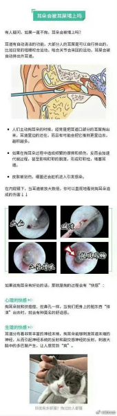 梦到掏耳朵掏很多耳屎_什么预兆