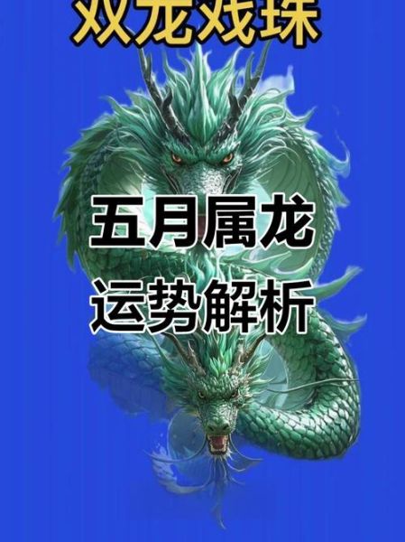 属龙五月财运如何_属龙5月偏财旺不旺