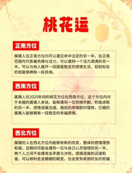 属猪2025年运势详解_属猪今年财运如何