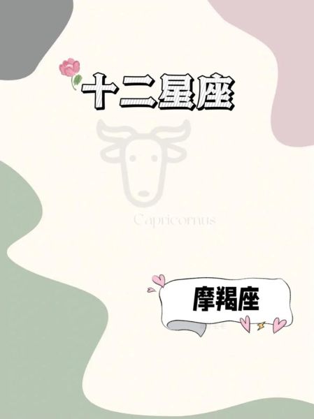 摩羯座今年财运如何_摩羯座2024年财运提升方法