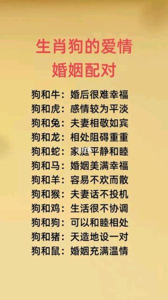 属狗和什么属相合财_属狗财运最佳配对