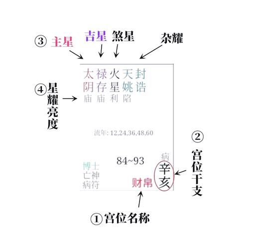 紫薇看财运宫怎么看_财运宫在哪个位置