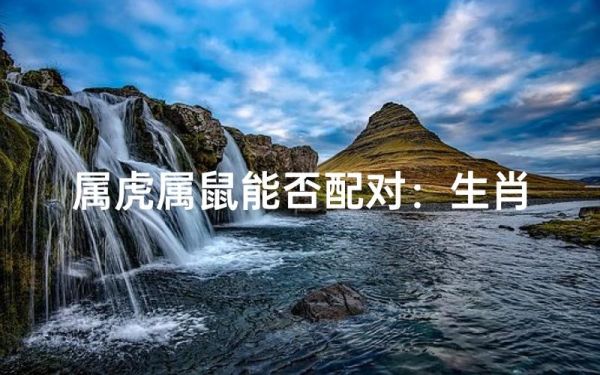虎和鼠相克吗_属虎与属鼠的合不合