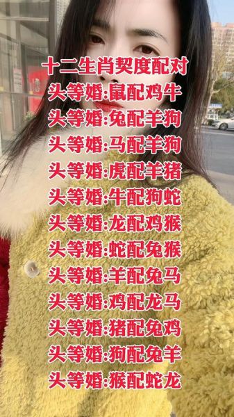 工作属相配对_哪些生肖组合职场最默契