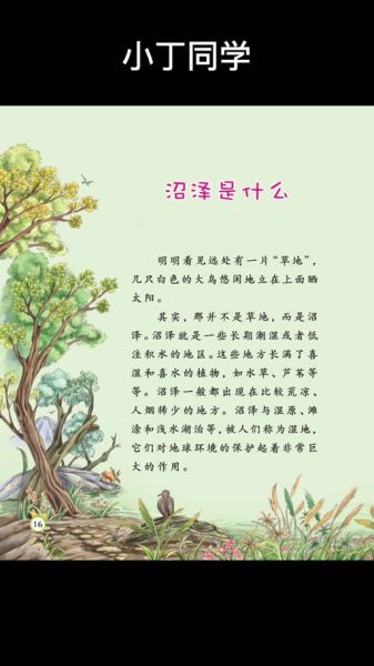梦到沼泽地是什么意思_如何化解