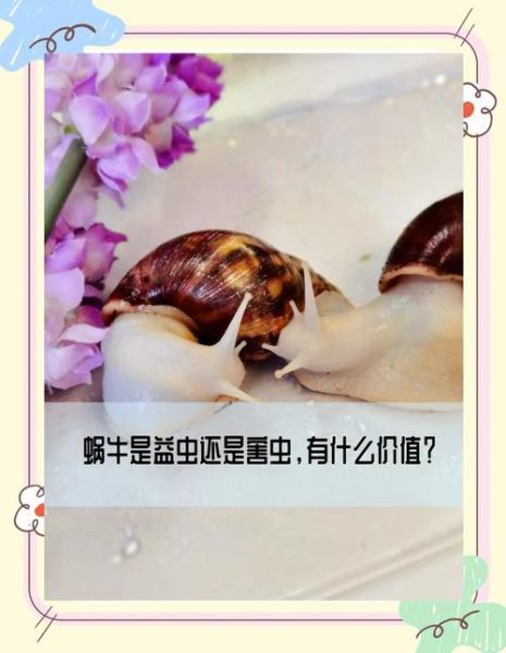 梦到蜗牛是什么意思_蜗牛爬行的梦境解析
