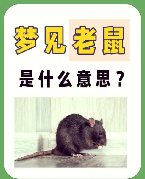 梦到烧老鼠_是什么意思
