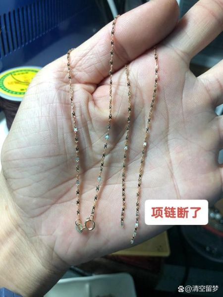 梦到带项链是什么意思_项链断了预示什么