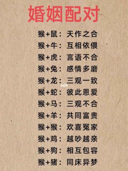 猴子配合属相_属猴和什么属相最配
