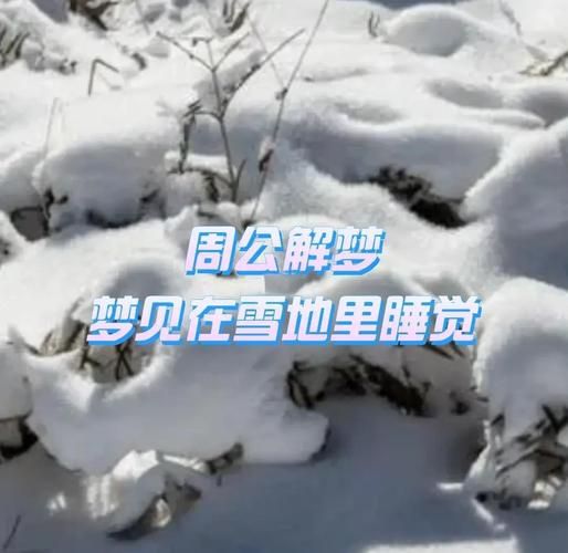 梦到雪是什么意思_梦见下雪代表什么