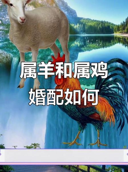 羊和鸡属相婚配好吗_属羊属鸡婚姻能长久吗