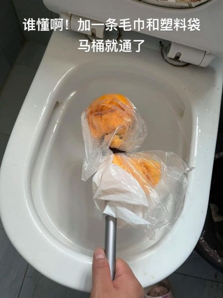 梦到马桶堵了_梦见马桶堵了是什么意思