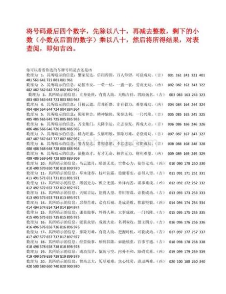 车牌号吉凶怎么看_选车牌风水技巧