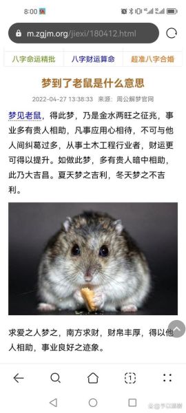 梦到被耗子咬是什么意思_梦见被老鼠咬手预示什么