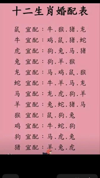 马和狗属相能配吗_婚姻运势如何