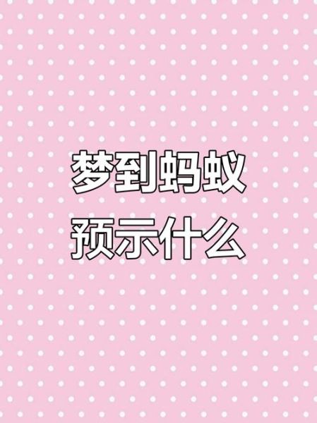 梦到蚂蚁是什么意思_梦到蚂蚁爬身上预示什么