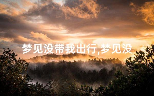梦到将出行_意味着什么
